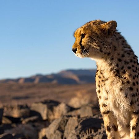 Neuras Wine And Wildlife Estate Hotel Namib-Naukluft National Park Exterior photo