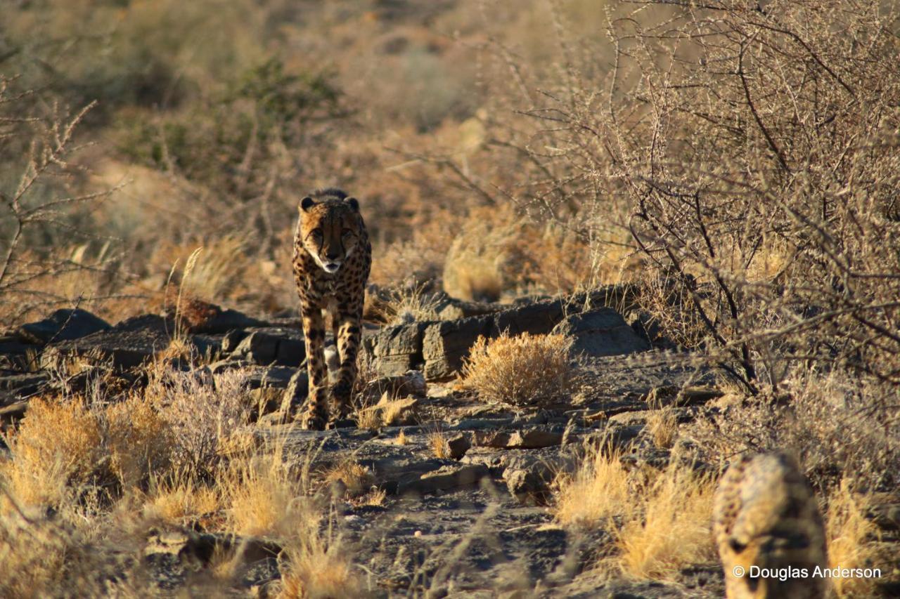 Neuras Wine And Wildlife Estate Hotel Namib-Naukluft National Park Exterior photo