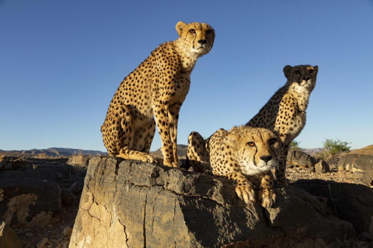 Neuras Wine And Wildlife Estate Hotel Namib-Naukluft National Park Exterior photo