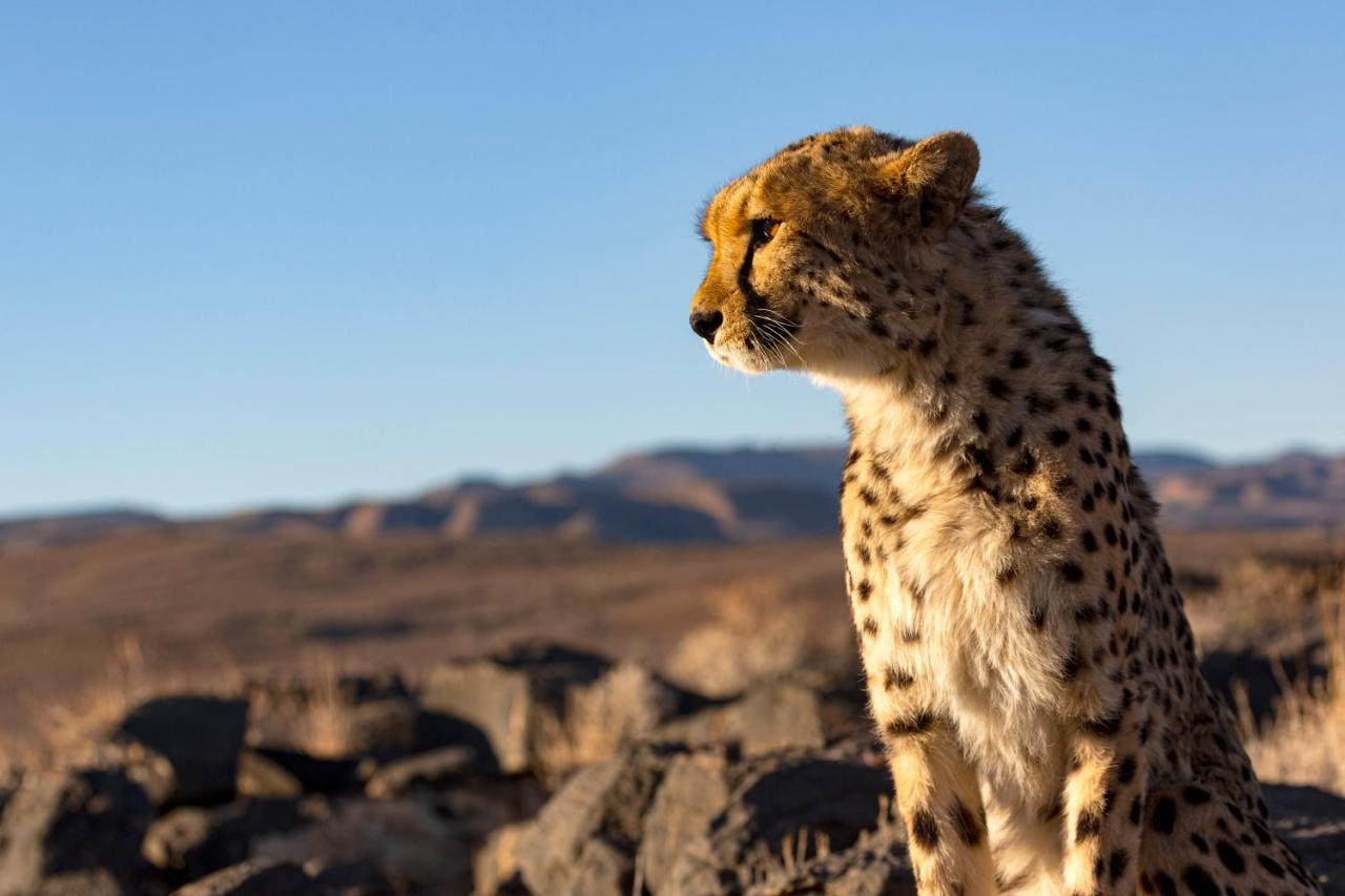 Neuras Wine And Wildlife Estate Hotel Namib-Naukluft National Park Exterior photo