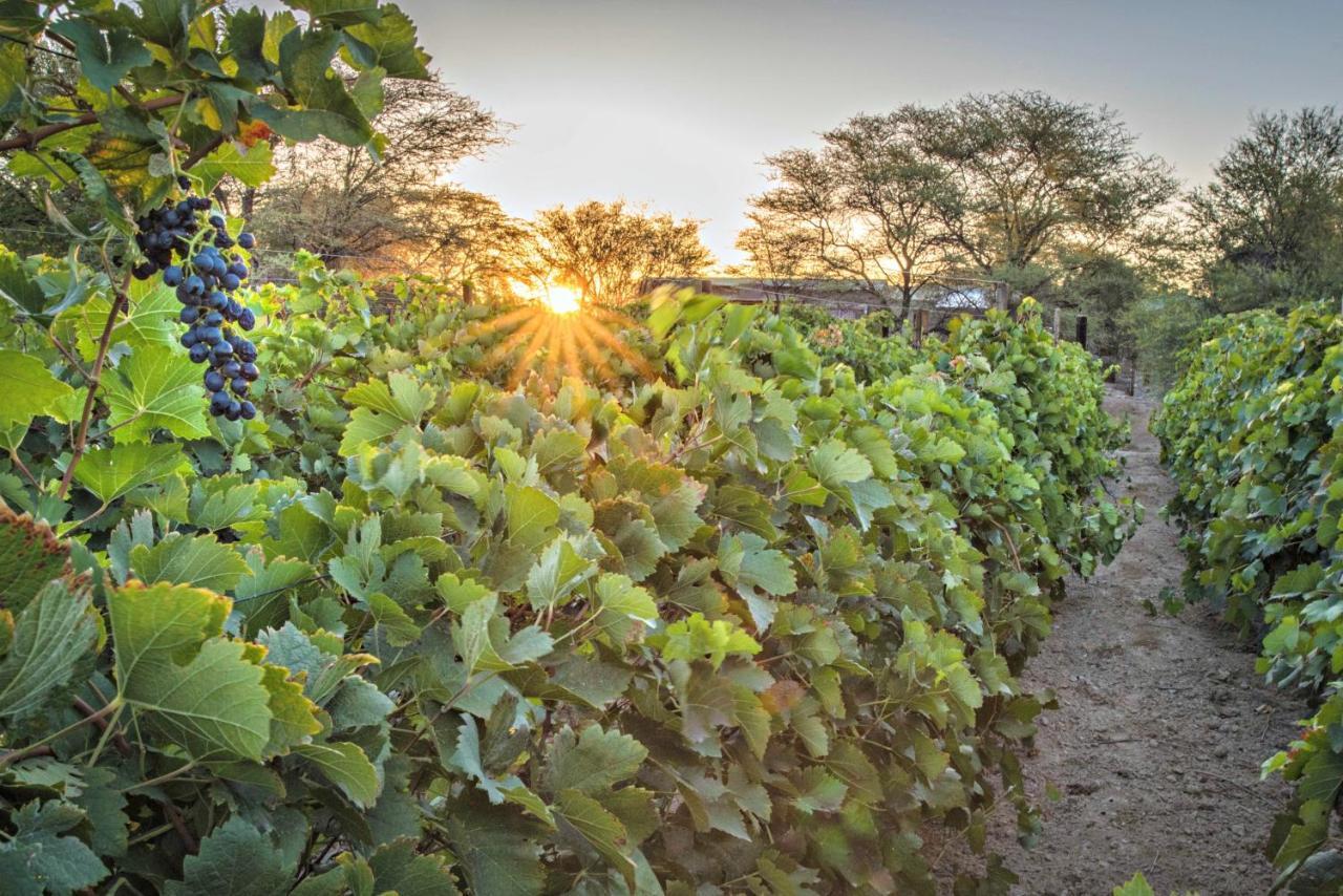 Neuras Wine And Wildlife Estate Hotel Namib-Naukluft National Park Exterior photo