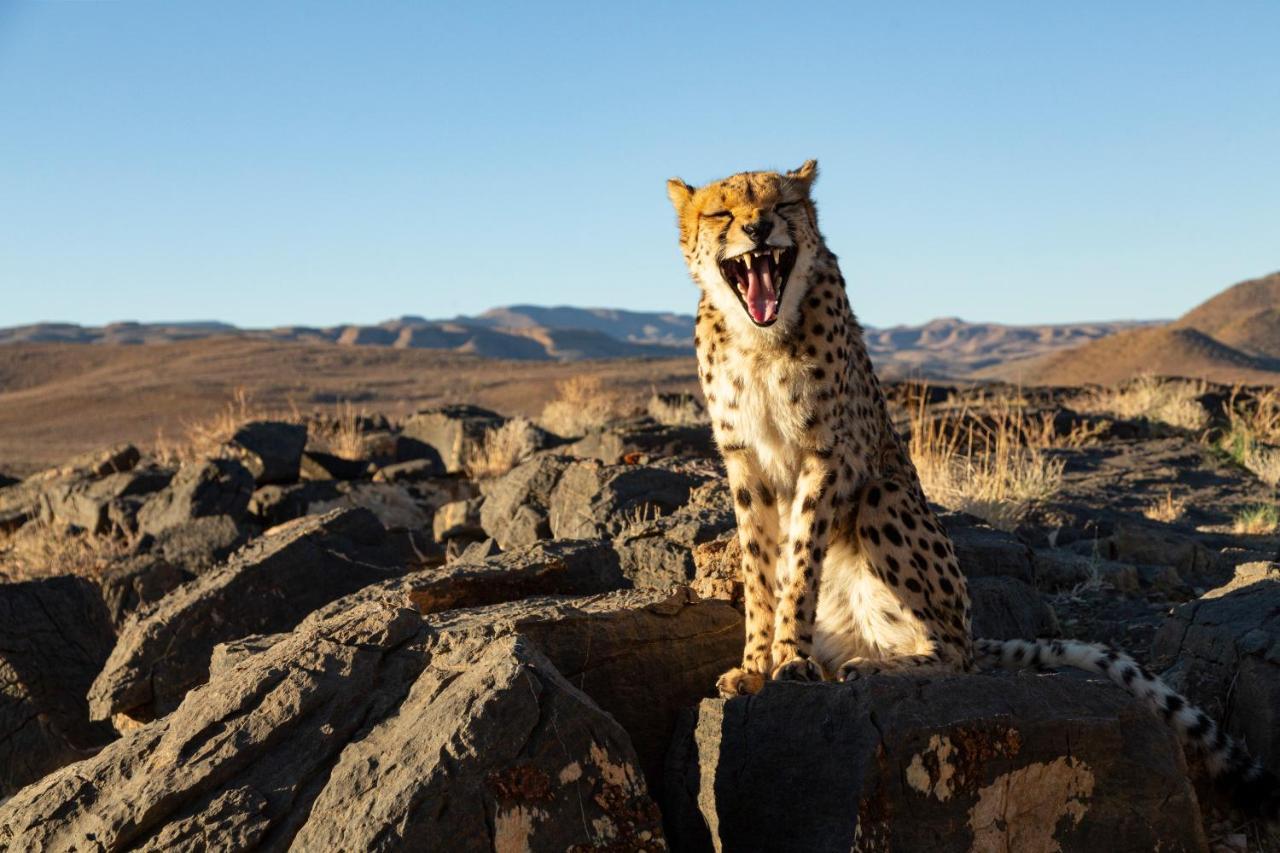 Neuras Wine And Wildlife Estate Hotel Namib-Naukluft National Park Exterior photo