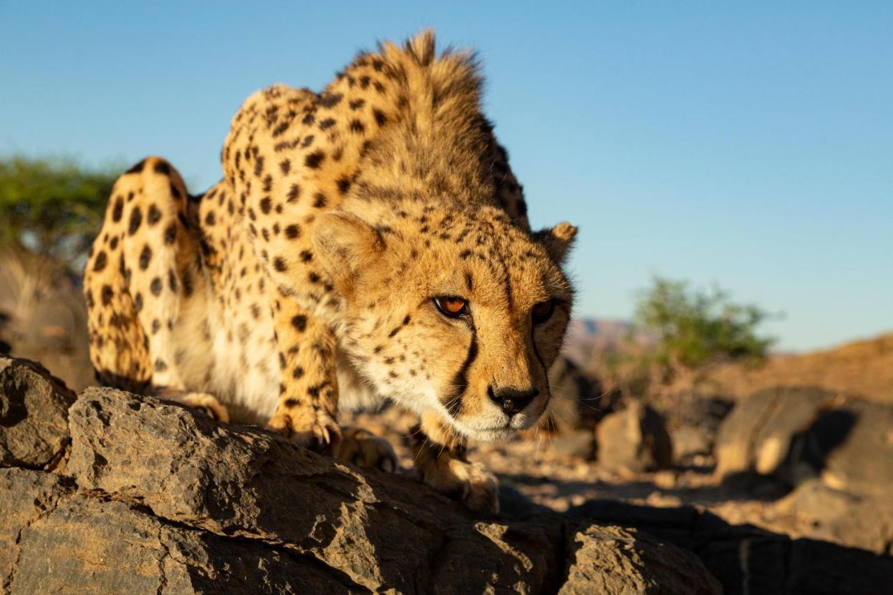 Neuras Wine And Wildlife Estate Hotel Namib-Naukluft National Park Exterior photo